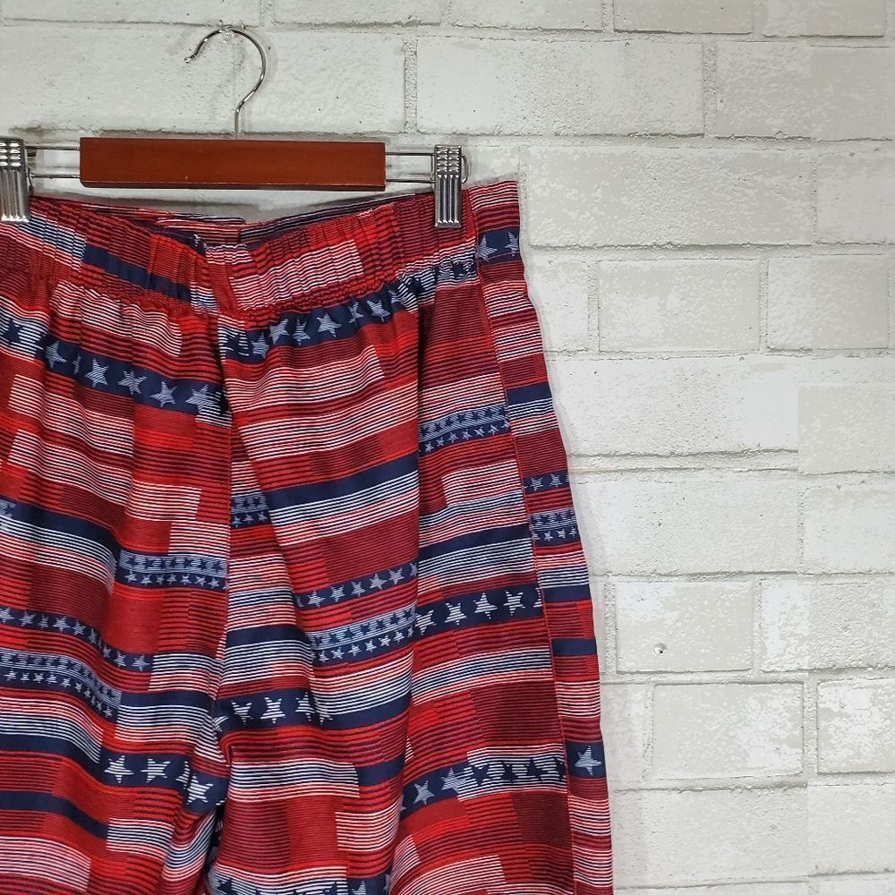 Speedo patriotic swim trunks - Picture 7 of 14